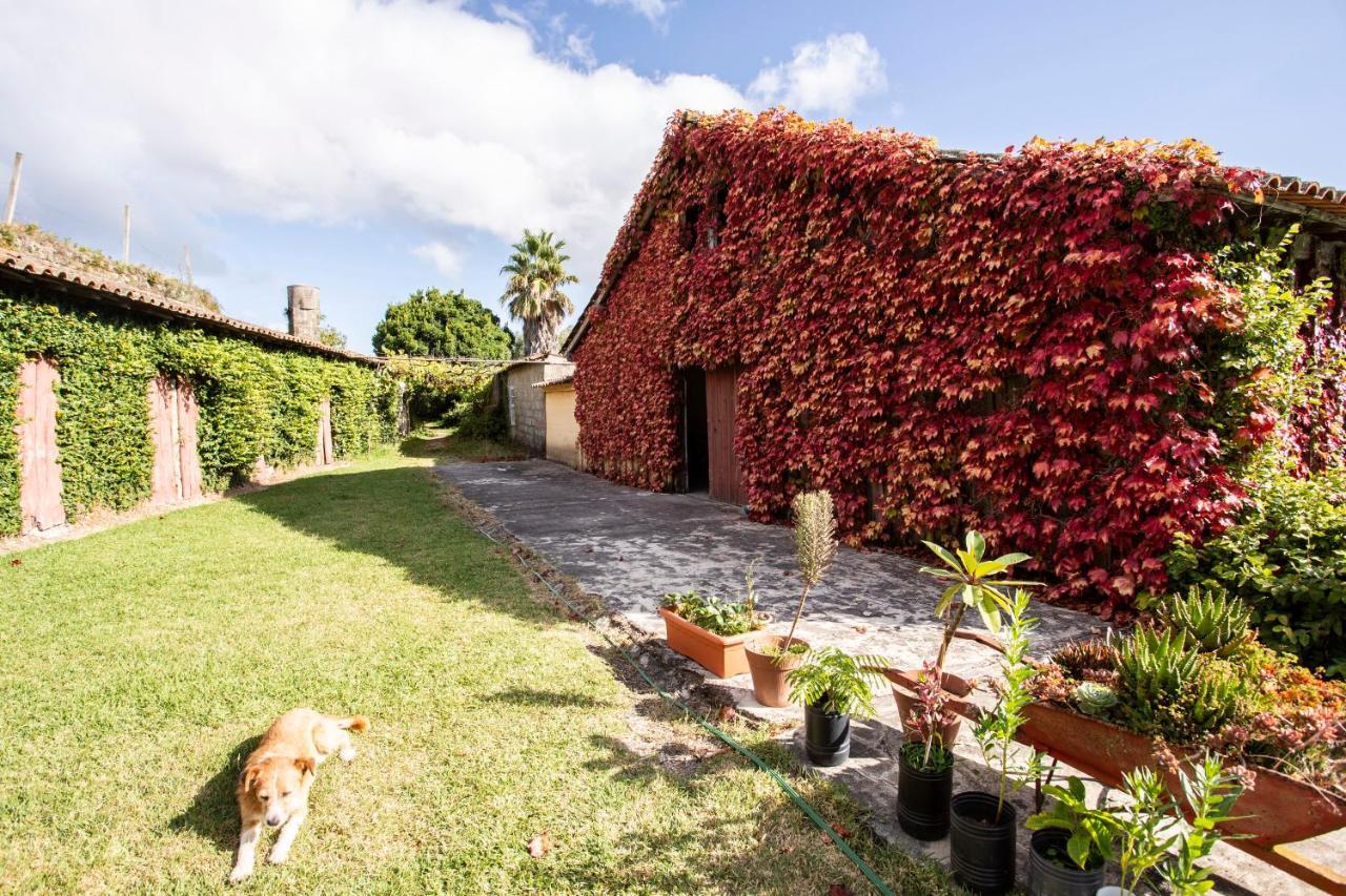 Casa Da Varzea Ponte de Lima Eksteriør bilde